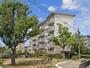 ＵＲ都市機構白鷺団地Ｂ—１０棟 5階 築62年8ヶ月の賃貸物件