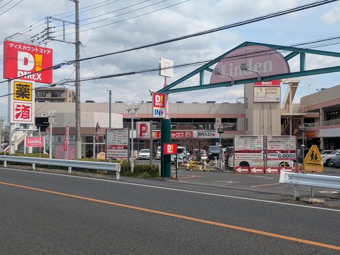 その他　ダイレックス（その他）まで700m