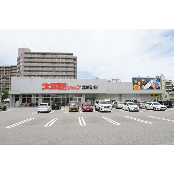 スーパー　大阪屋ショップ北新町店（スーパー）まで375m