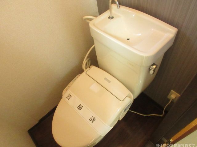 【ルーブルかつらのトイレ】