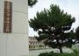 小学校　西尾市立寺津小学校（小学校）まで3321m