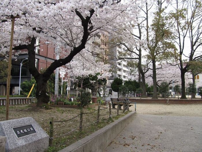 【堀江テラスの公園】