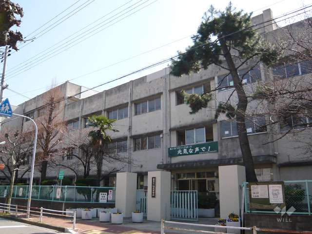 中学校　西宮市立鳴尾中学校（中学校）まで262m