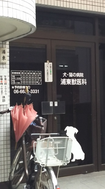 病院　浦東獣医科（病院）まで279m