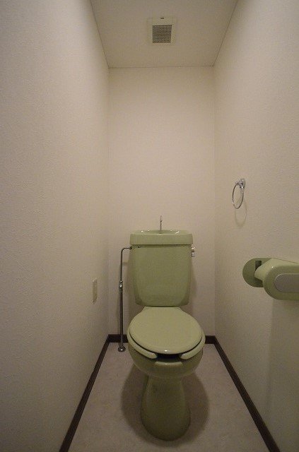 トイレ　写真は別号室のものです。