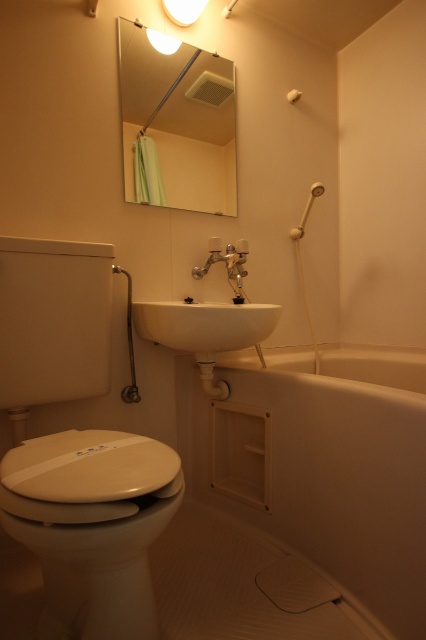 バス・シャワールーム　同物件別号室の写真