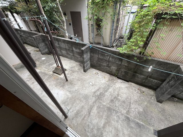 庭