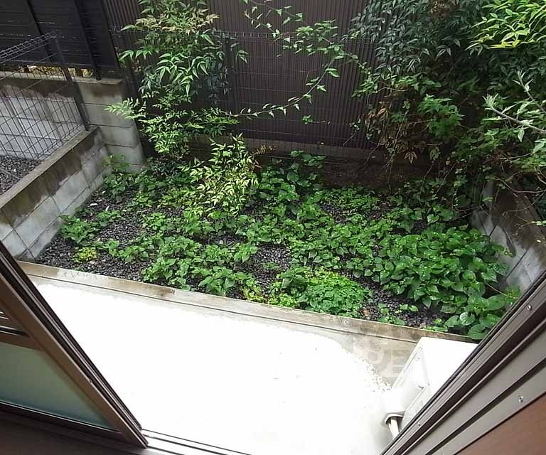 バルコニー　１Ｆ専用庭