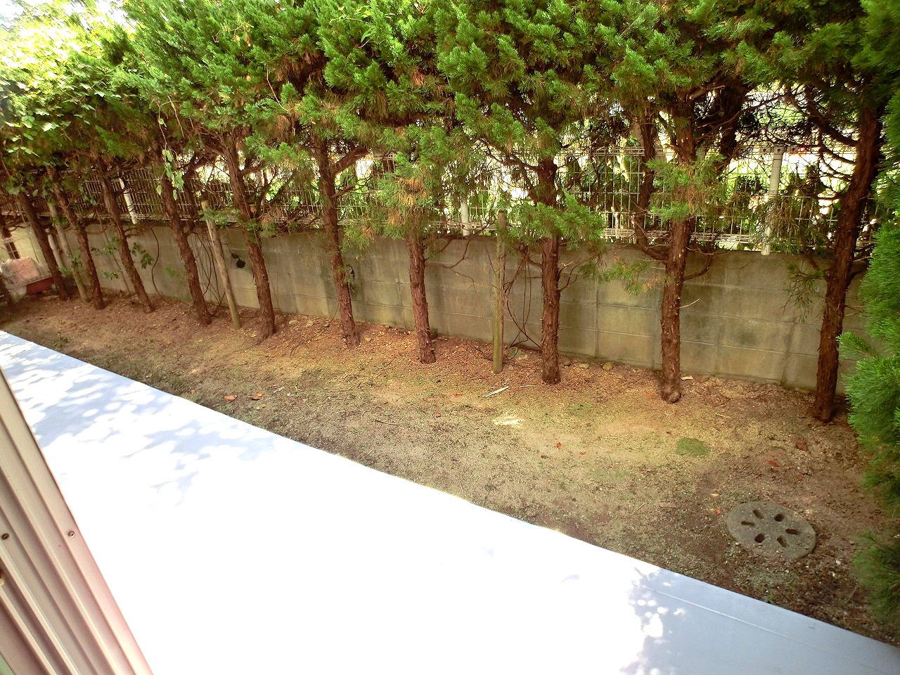 バルコニー　キレイに植木の剪定を行います！