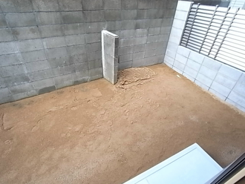庭