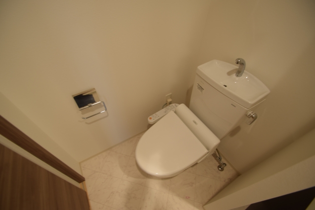 レジュールアッシュ南堀江のトイレ写真