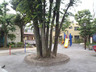公園　谷中清水町公園（公園）まで597m