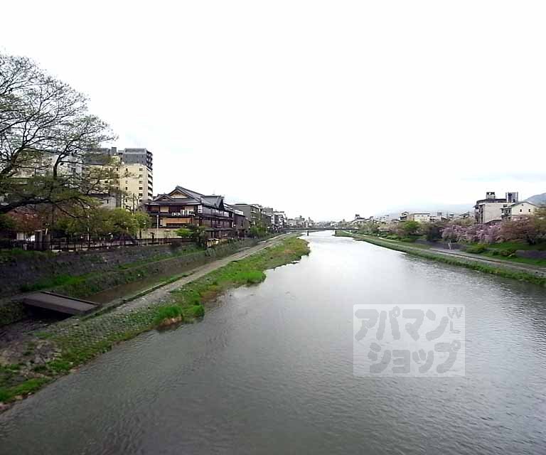 その他　五条大橋からの鴨川眺め（その他）まで230m