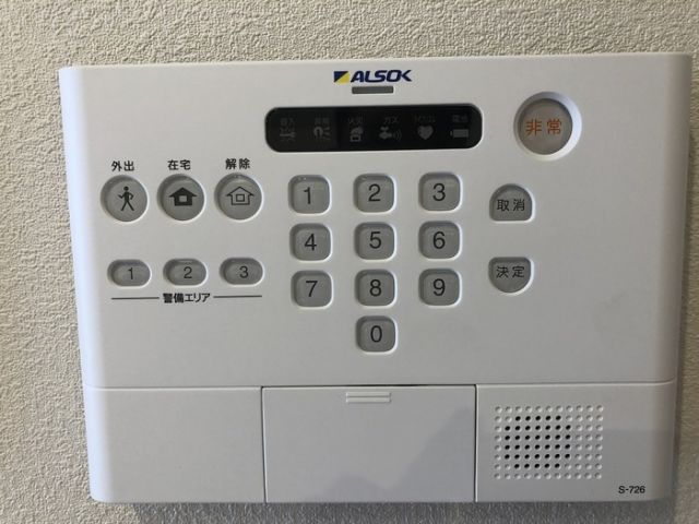 セレーネのその他写真