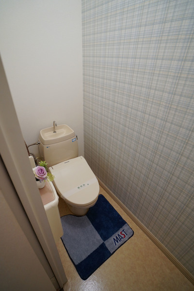 ハイツフロイデ A棟のトイレ写真