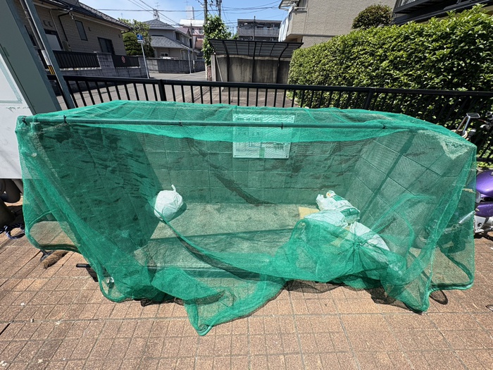 アップルコート銀杏町のその他写真