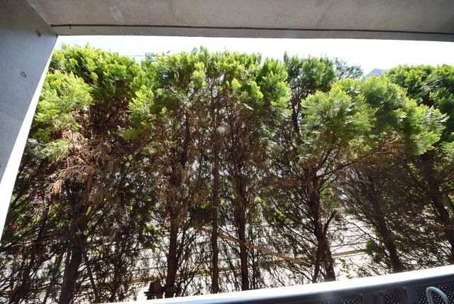 眺望　※別部屋参考写真※