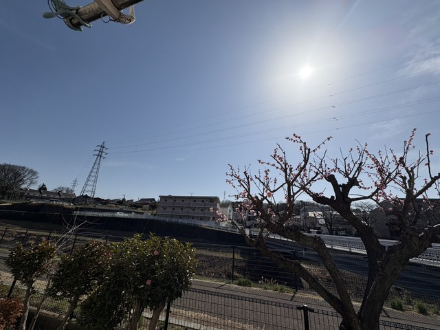 多摩都市モノレール 大塚・帝京大学駅 徒歩14分 2階建 築34年のその他写真