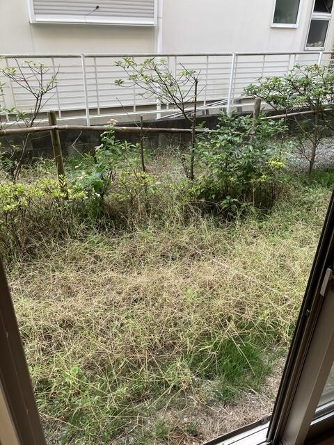 庭