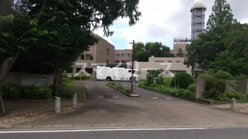 【柏市旭町のマンションの大学・短大】