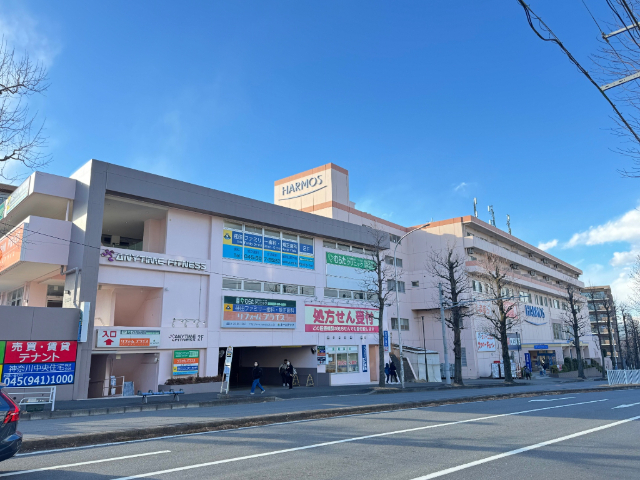 ドラックストア　クリエイトエス・ディーハーモス荏田店（ドラッグストア）まで546m