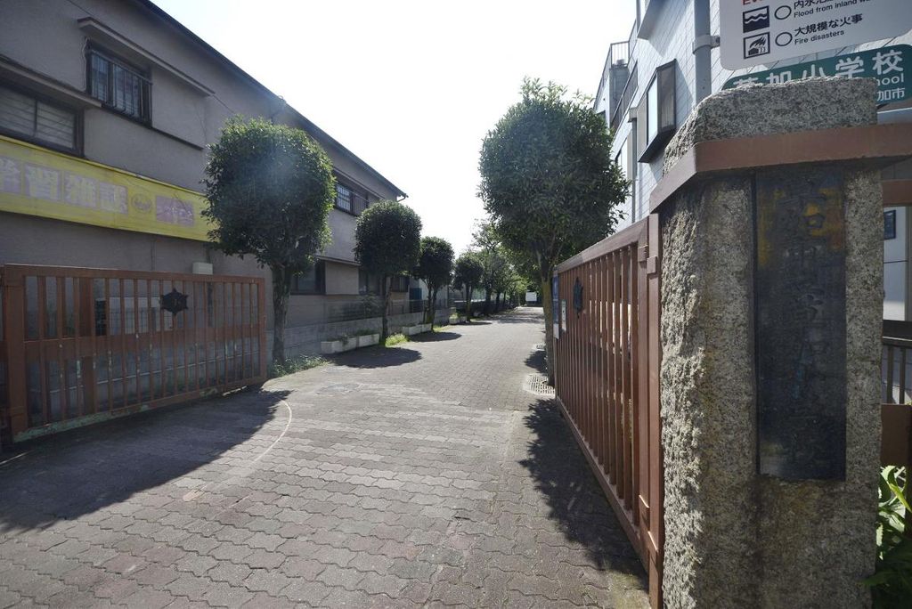 小学校　草加市立草加小学校（小学校）まで350m