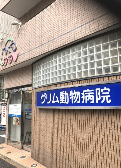 病院　グリム動物病院（病院）まで536m