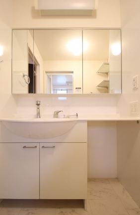 洗面設備　写真は別号室です。