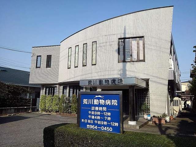 病院　荒川動物病院（病院）まで1600m