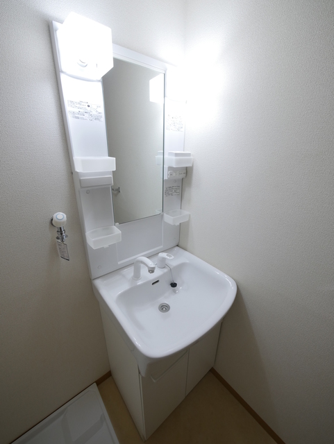 洗面設備　★人気の独立洗面台はシャワー付です★