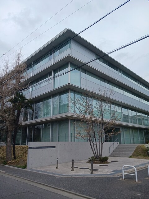 大学・短大　東京都市大学（大学・短大）まで223m