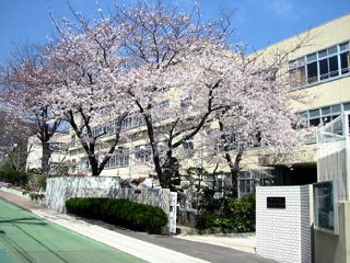 小学校　神戸市立五位の池小学校（小学校）まで377m
