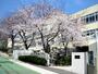 小学校　神戸市立五位の池小学校（小学校）まで377m
