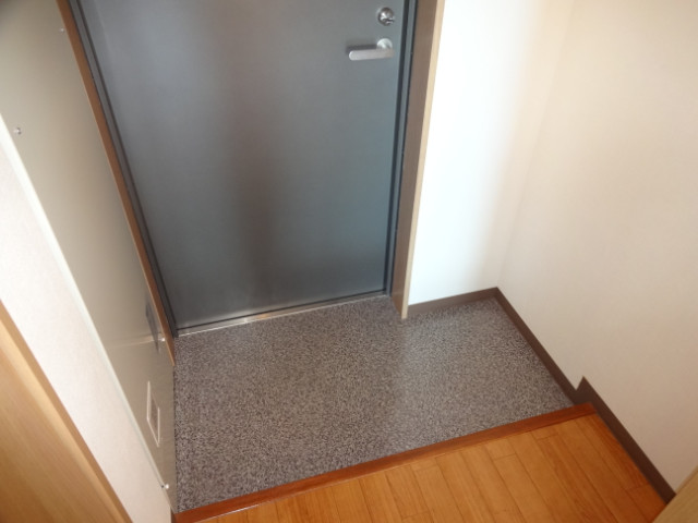 玄関　コンパクトタイプです。