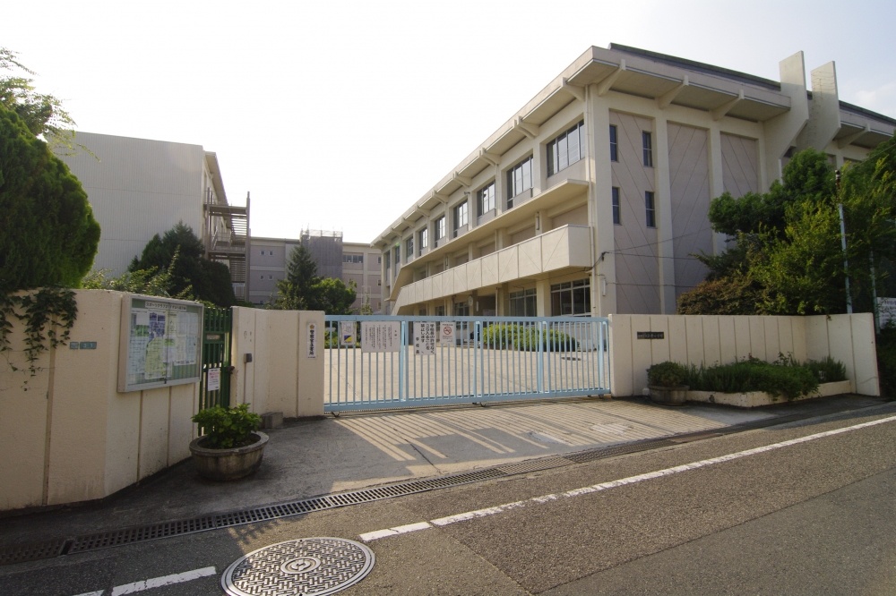 小学校　伊丹市立　鈴原小学校（小学校）まで717m