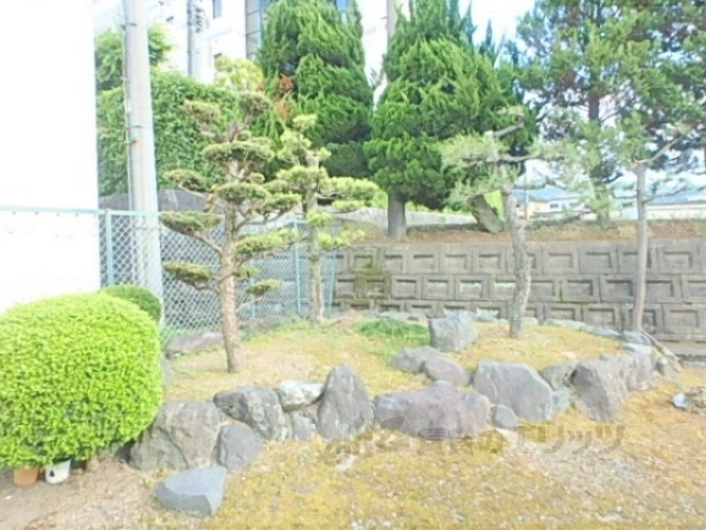 その他　植栽