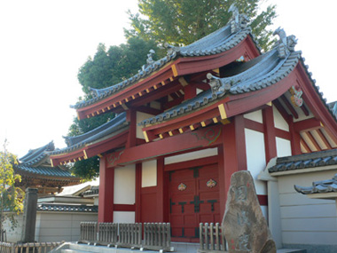 その他　円成院（その他）まで1156m