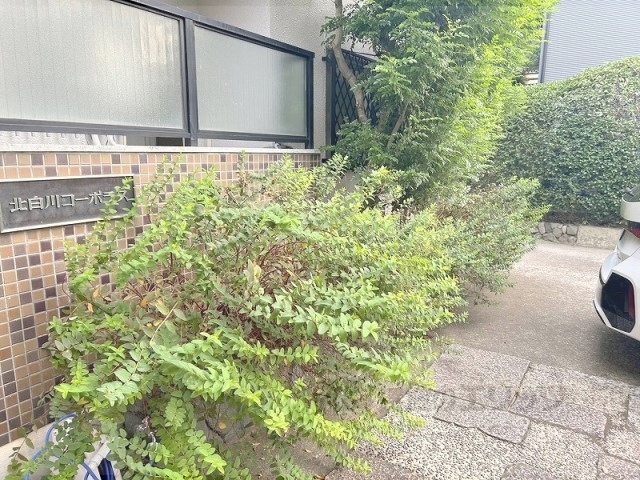 その他　植栽