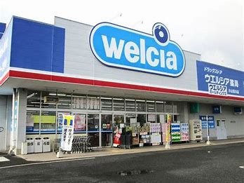 ドラックストア　ウエルシア玉村下新田店（ドラッグストア）まで1838m
