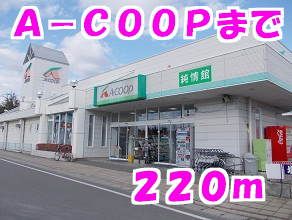 スーパー　コープ（スーパー）まで220m