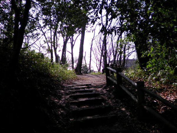 公園　綱島公園（公園）まで450m