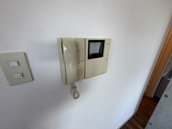 ルピナスのその他写真