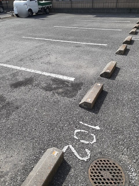 エクセランSのその他写真