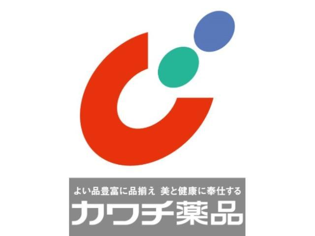 ドラックストア　カワチ薬品伊勢崎南店（ドラッグストア）まで556m