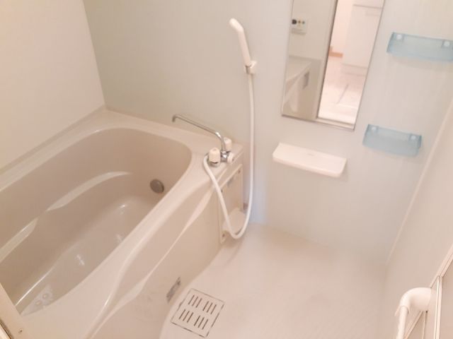 レオンIIAの風呂写真