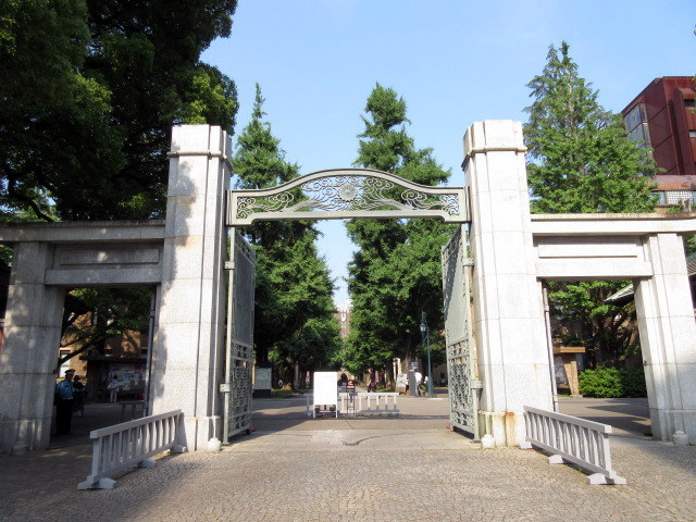 大学・短大　国立東京大学（大学・短大）まで910m