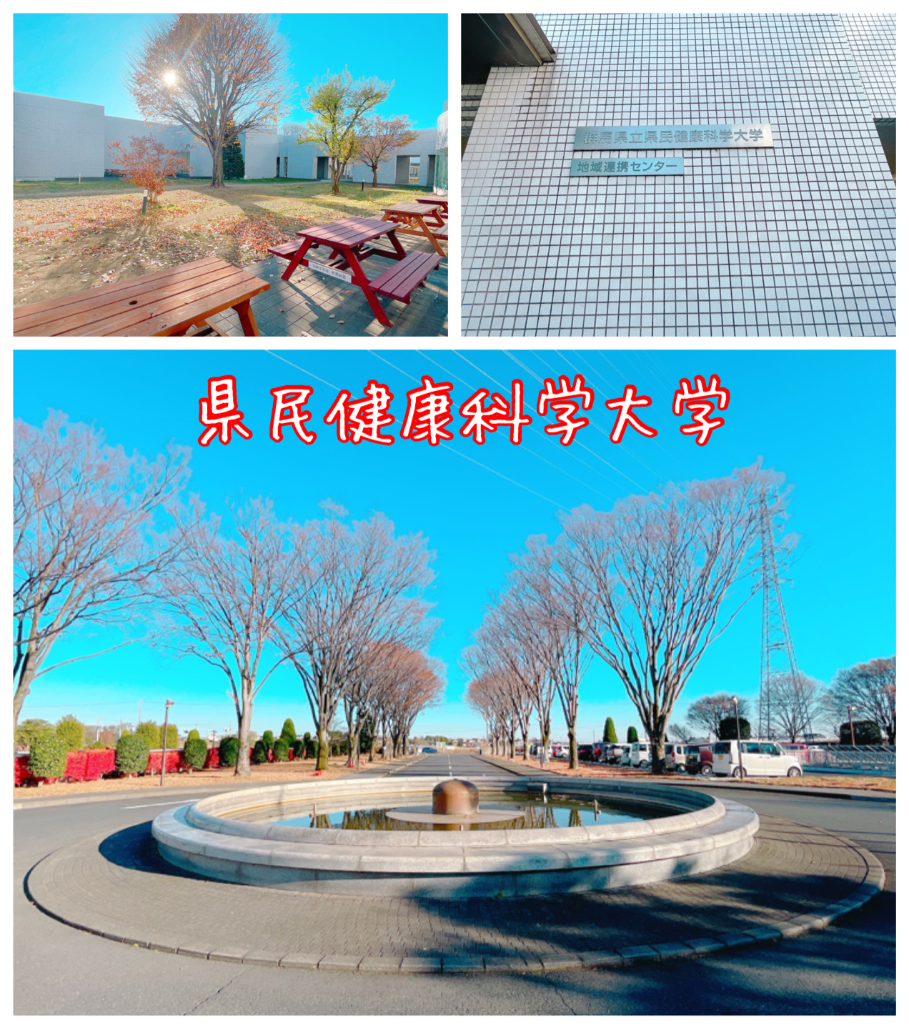 図書館　群馬県立県民健康科学大学図書館（図書館）まで1069m