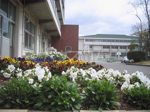 【三島市青木のアパートの中学校】