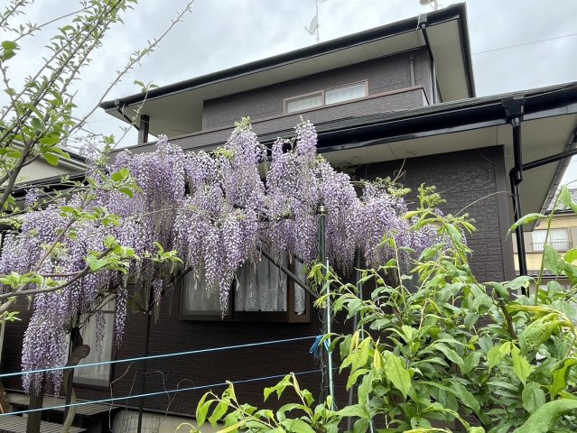 足利市大沼田貸家の建物外観