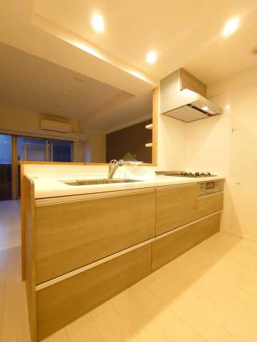 キッチン　レジディア文京音羽